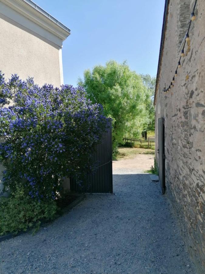 La Petite Boire - Chambres D'Hotes Pres D'Angers Murs-Erigne Ngoại thất bức ảnh